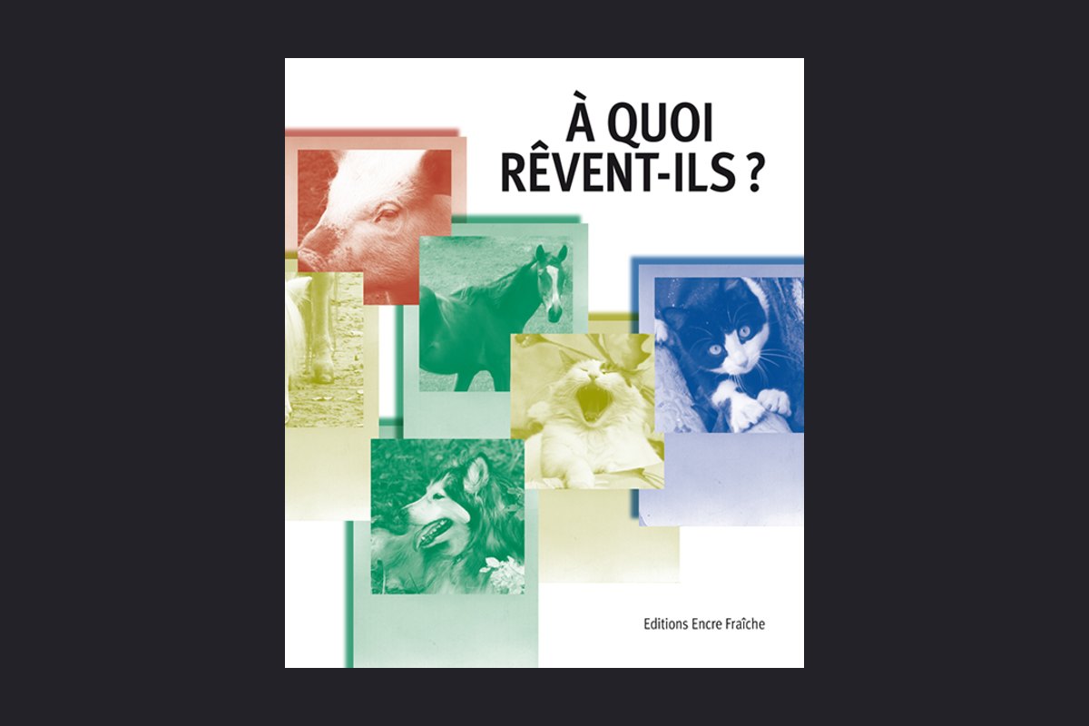 Couverture : A quoi rêvent-ils?