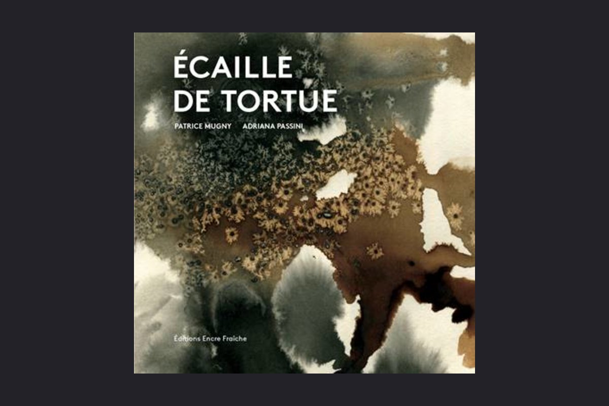 Couverture : Écaille de tortue : poésies